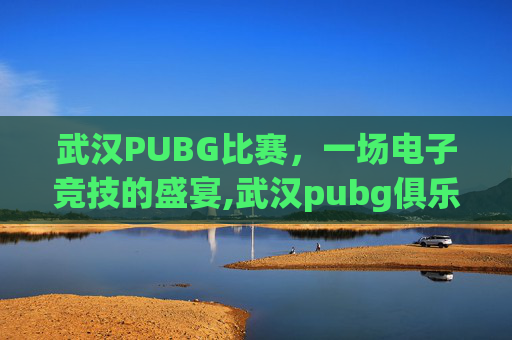 武汉PUBG比赛，一场电子竞技的盛宴,武汉pubg俱乐部