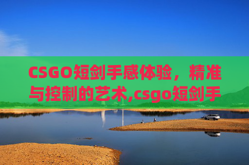 CSGO短剑手感体验，精准与控制的艺术,csgo短剑手感太好了