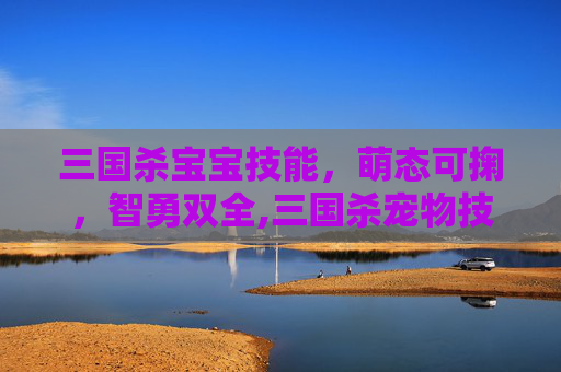 三国杀宝宝技能，萌态可掬，智勇双全,三国杀宠物技能