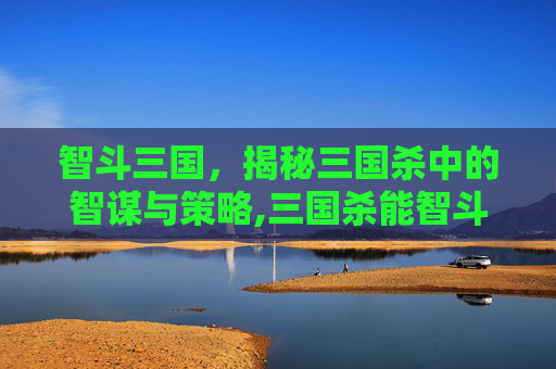 智斗三国，揭秘三国杀中的智谋与策略,三国杀能智斗的武将