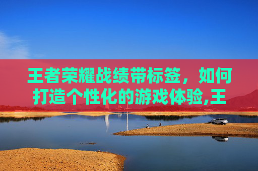 王者荣耀战绩带标签，如何打造个性化的游戏体验,王者荣耀战绩带标签什么意思