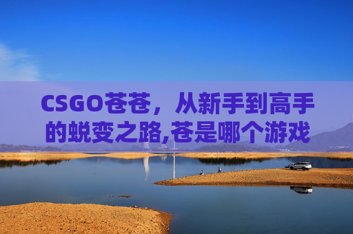 CSGO苍苍，从新手到高手的蜕变之路,苍是哪个游戏里的人物
