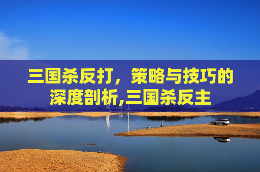 三国杀反打，策略与技巧的深度剖析,三国杀反主