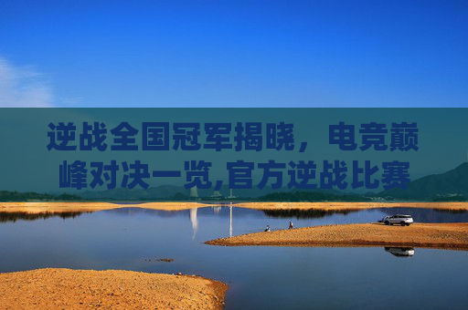 逆战全国冠军揭晓，电竞巅峰对决一览,官方逆战比赛冠军