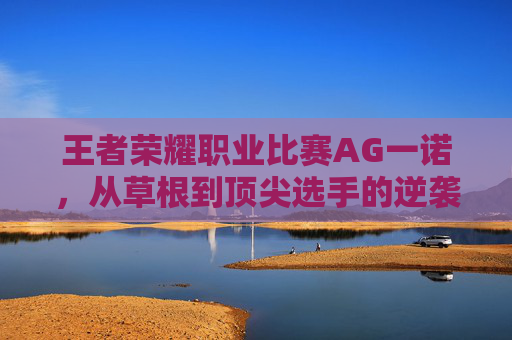 王者荣耀职业比赛AG一诺，从草根到顶尖选手的逆袭之路,王者荣耀职业选手一诺
