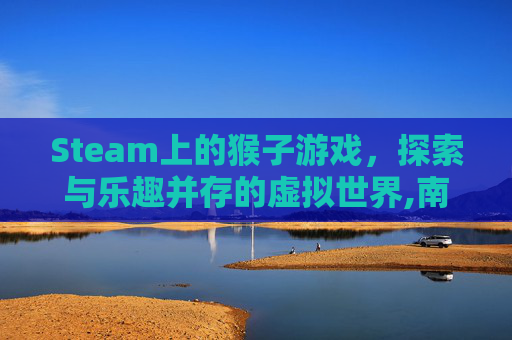 Steam上的猴子游戏，探索与乐趣并存的虚拟世界,南京小学教师