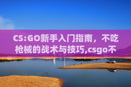CS:GO新手入门指南，不吃枪械的战术与技巧,csgo不吃磨损的皮肤