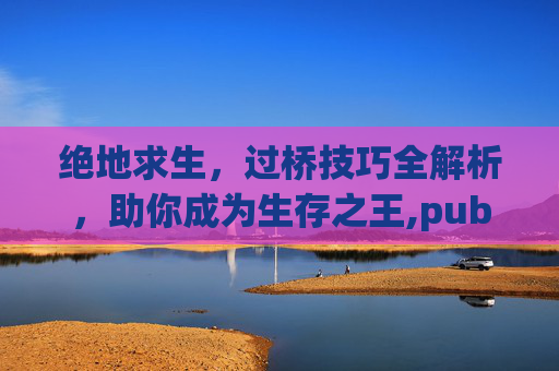 绝地求生，过桥技巧全解析，助你成为生存之王,pubg堵桥