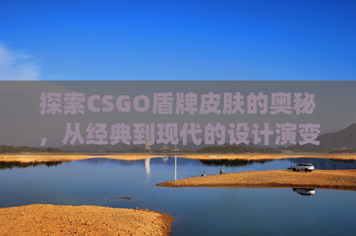 探索CSGO盾牌皮肤的奥秘，从经典到现代的设计演变,CS go里面盾牌