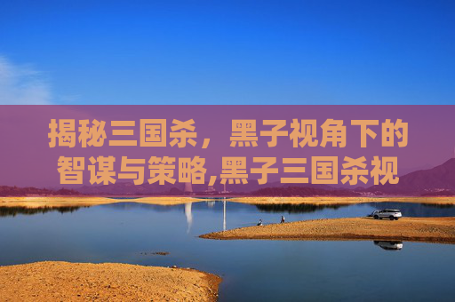 揭秘三国杀，黑子视角下的智谋与策略,黑子三国杀视频解说