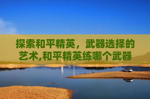 探索和平精英，武器选择的艺术,和平精英练哪个武器好用