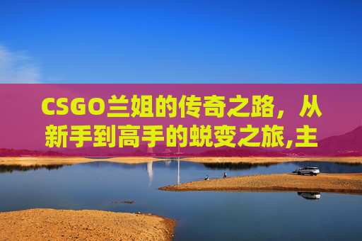 CSGO兰姐的传奇之路，从新手到高手的蜕变之旅,主播兰姐