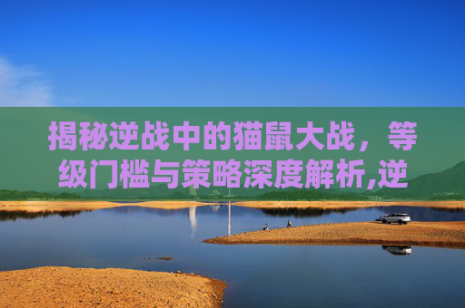 揭秘逆战中的猫鼠大战，等级门槛与策略深度解析,逆战猫鼠大战多少级可以进