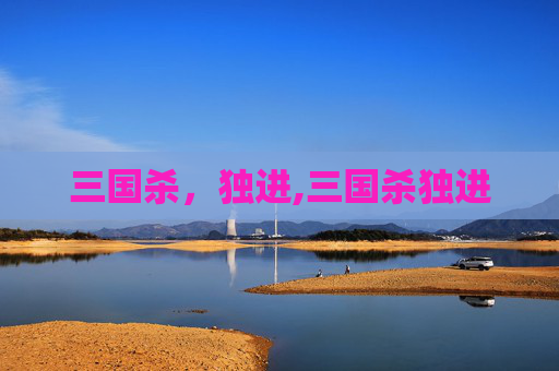 三国杀，独进,三国杀独进