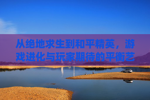 从绝地求生到和平精英，游戏进化与玩家期待的平衡艺术,pubg怎么调人称
