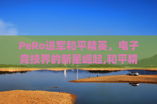 PeRo进军和平精英，电子竞技界的新星崛起,和平精英pen是什么比赛