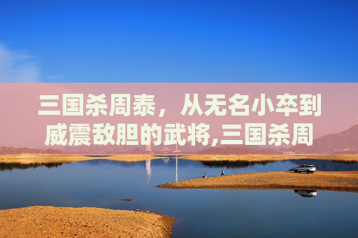 三国杀周泰，从无名小卒到威震敌胆的武将,三国杀周泰创可以改判吗