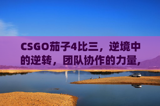 CSGO茄子4比三，逆境中的逆转，团队协作的力量,csgo茄子技术到底怎么样