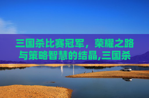 三国杀比赛冠军，荣耀之路与策略智慧的结晶,三国杀比赛冠军是谁