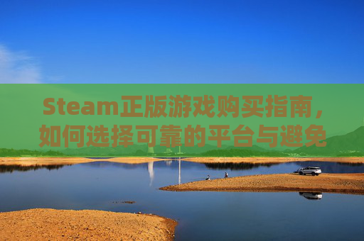 Steam正版游戏购买指南，如何选择可靠的平台与避免常见陷阱,steam正版在哪