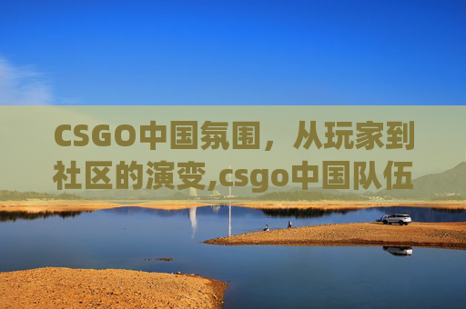 CSGO中国氛围，从玩家到社区的演变,csgo中国队伍
