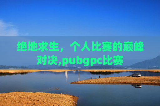 绝地求生，个人比赛的巅峰对决,pubgpc比赛