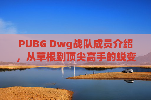PUBG Dwg战队成员介绍，从草根到顶尖高手的蜕变之路,pubgedg战队