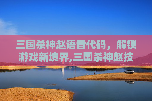 三国杀神赵语音代码，解锁游戏新境界,三国杀神赵技能