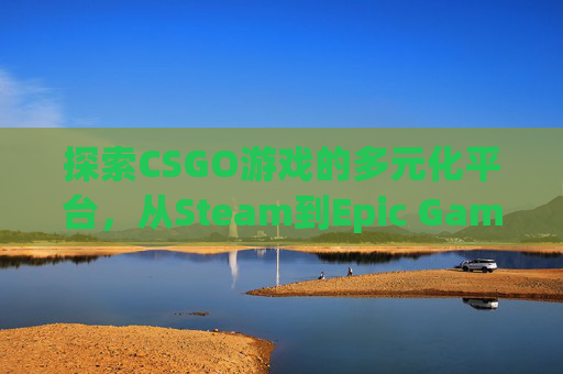 探索CSGO游戏的多元化平台，从Steam到Epic Games Store,csgo几个平台哪个好