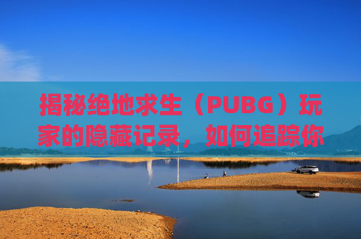 揭秘绝地求生（PUBG）玩家的隐藏记录，如何追踪你的游戏足迹,pubg怎么看自己在哪个服