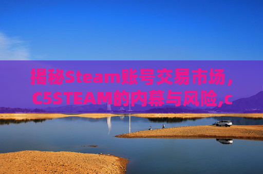 揭秘Steam账号交易市场，C5STEAM的内幕与风险,c5交易平台steam不能交易
