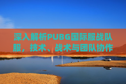 深入解析PUBG国际服战队服，技术、战术与团队协作的完美结合,pubg国际服组队