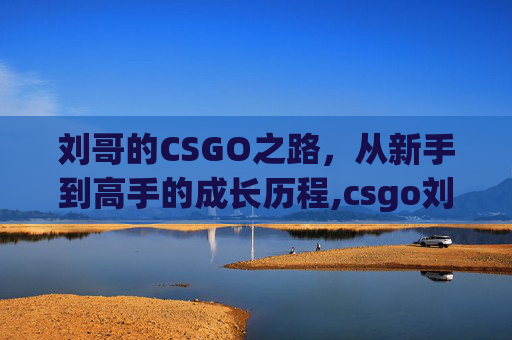 刘哥的CSGO之路，从新手到高手的成长历程,csgo刘頔