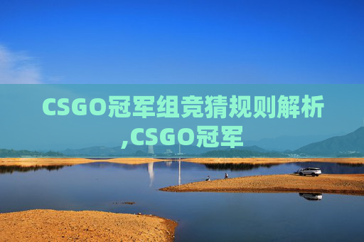 CSGO冠军组竞猜规则解析,CSGO冠军
