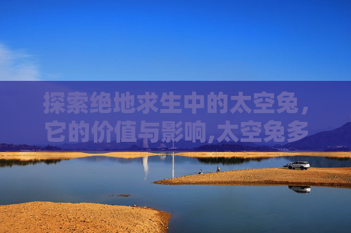 探索绝地求生中的太空兔，它的价值与影响,太空兔多少钱一只