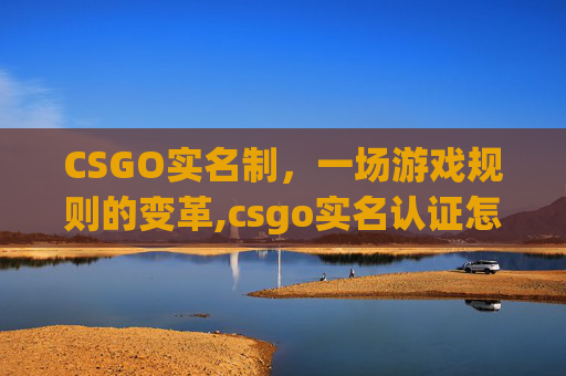 CSGO实名制，一场游戏规则的变革,csgo实名认证怎么解除