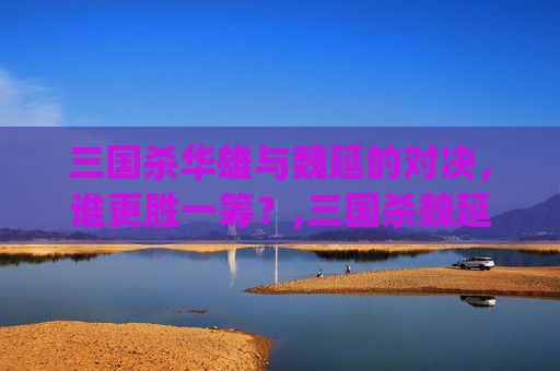 三国杀华雄与魏延的对决，谁更胜一筹？,三国杀魏延cg