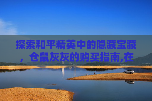 探索和平精英中的隐藏宝藏，仓鼠灰灰的购买指南,在哪买和平精英仓鼠灰灰的衣服
