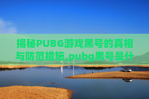 揭秘PUBG游戏黑号的真相与防范措施,pubg黑号是什么意思