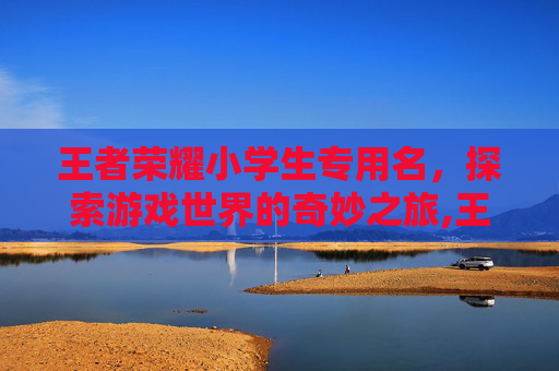 王者荣耀小学生专用名，探索游戏世界的奇妙之旅,王者荣耀小学生名字