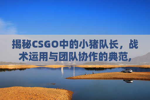揭秘CSGO中的小猪队长，战术运用与团队协作的典范,猪猪小队长