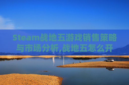Steam战地五游戏销售策略与市场分析,战地五怎么开卖