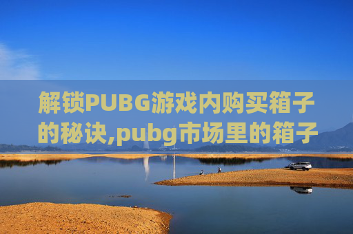 解锁PUBG游戏内购买箱子的秘诀,pubg市场里的箱子都是什么