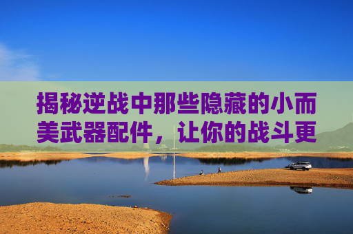 揭秘逆战中那些隐藏的小而美武器配件，让你的战斗更加犀利！,逆战最小武器配件大全图