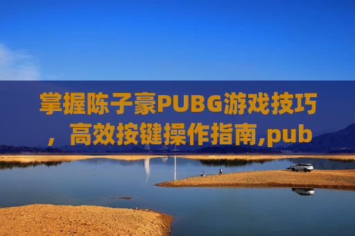 掌握陈子豪PUBG游戏技巧，高效按键操作指南,pubg按键设置怎么变空的