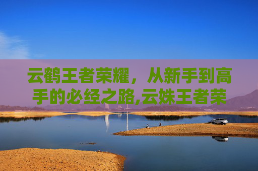 云鹤王者荣耀，从新手到高手的必经之路,云姝王者荣耀