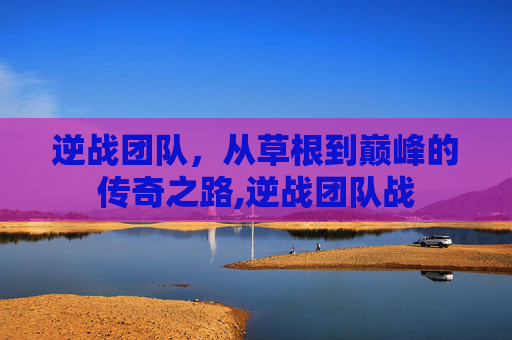 逆战团队，从草根到巅峰的传奇之路,逆战团队战