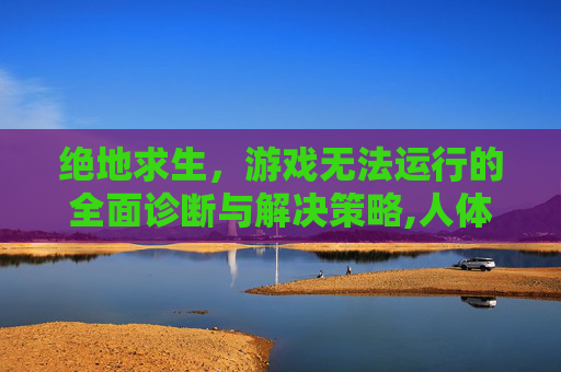 绝地求生，游戏无法运行的全面诊断与解决策略,人体结构几何体速写