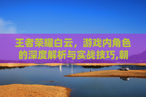 王者荣耀白云，游戏内角色的深度解析与实战技巧,朝晖一区二手房