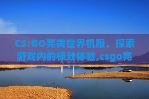 CS:GO完美世界机服，探索游戏内的极致体验,csgo完美世界平台